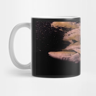 Nurse Sharks at Night dives Mug